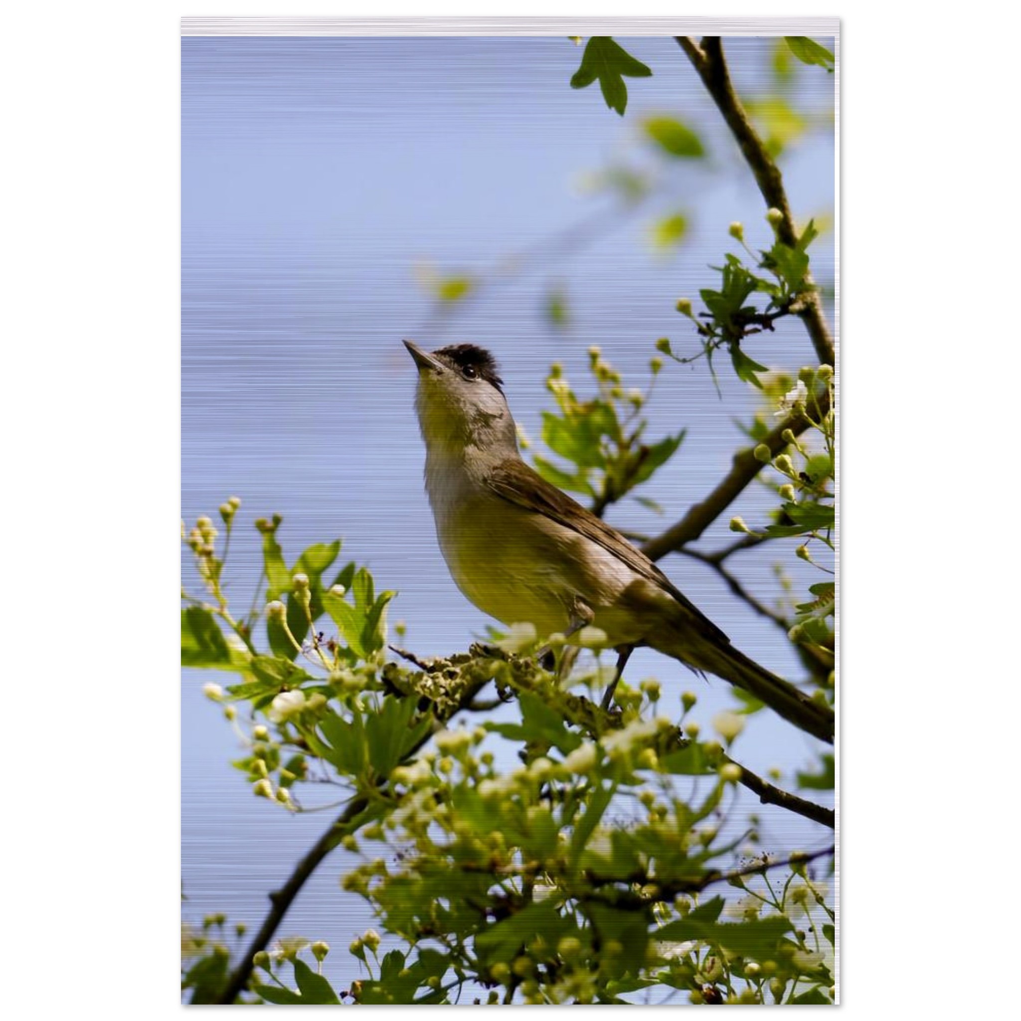 345b5492-58c9-404e-922b-e1e3fd58b88b